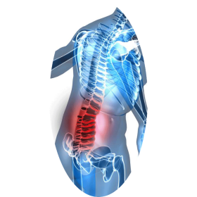 Mélange de plantes médicinales Inflamoss (Anti-inflammatoire naturel)
