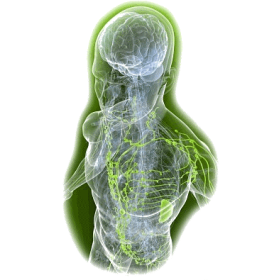 Lymphe mélange en poudre Régénération