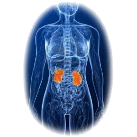 Reins & Rate mélange en poudre Régénération