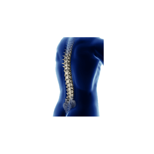 MSM anti-inflammatoire en gélules (Méthyle Sulfonyle Méthane)