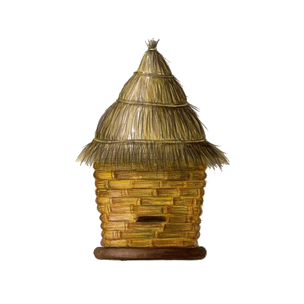 Propolis pure en extrait 18% en gélule Pullulan