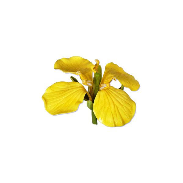 Glycérine végétale pour préparation cosmétique