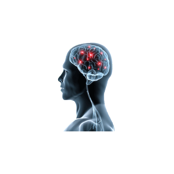 Memo+ mélange en gélules pour booster la mémoire