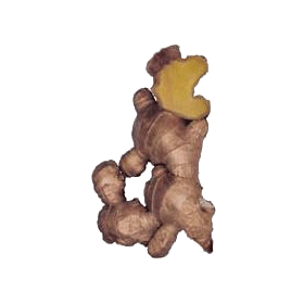 Gingembre Bio en gélules - aphrodisiaque et anti-inflammatoire (Zingiber officinale)