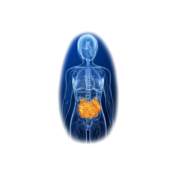Parasites mélange en gélules Régénération