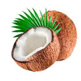 Huile végétale vierge de Coco Bio*