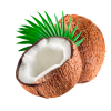 Huile végétale vierge de Coco Bio*