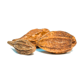 Triphala Bio en gélules, médecine ayurvédique