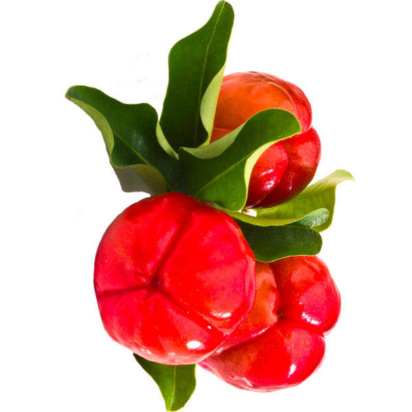 Acérola extrait de fruits BIO en gélules (Immunité)