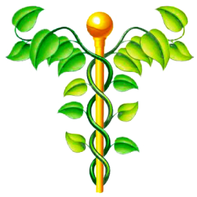 NAC N-Acétylcysteine en gélules Pullulan