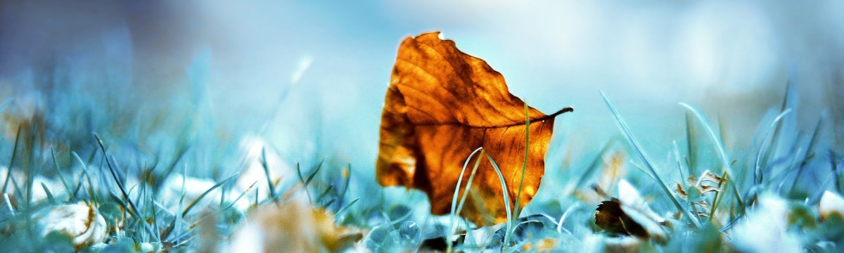 Thème Prestashop Universal